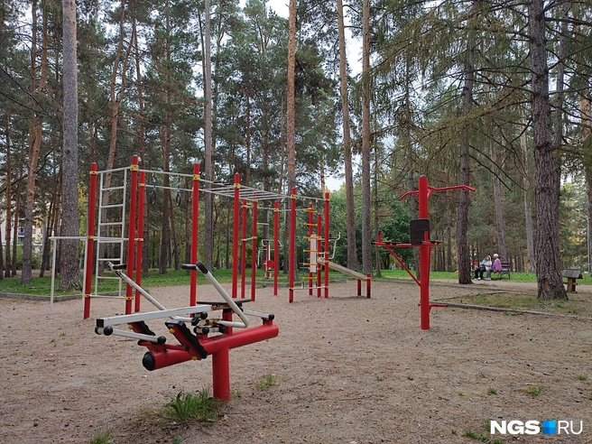 Спортивная площадка (зона воркаута) никуда не денется | Источник: Илья Калинин / NGS.RU