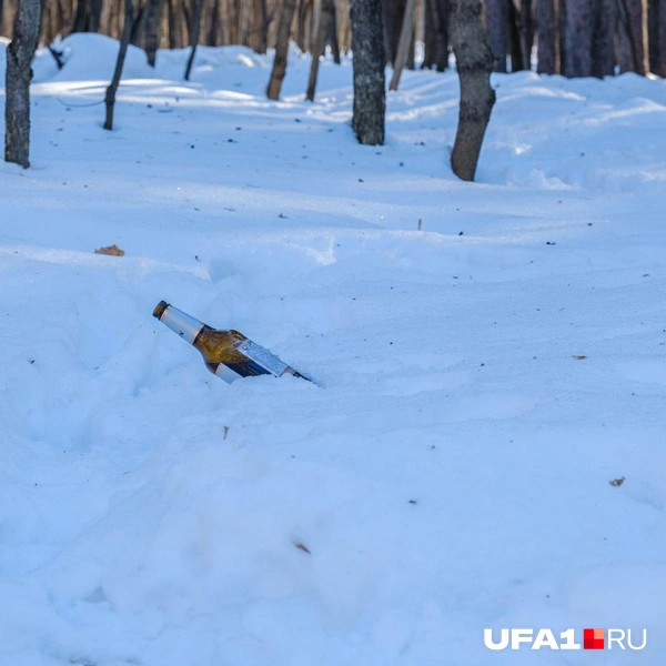 Источник: Булат Салихов / UFA1.RU