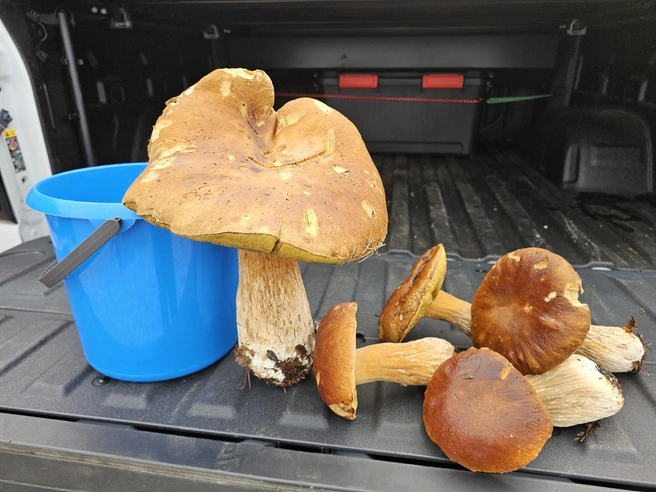 Источник: Ирина Коншина