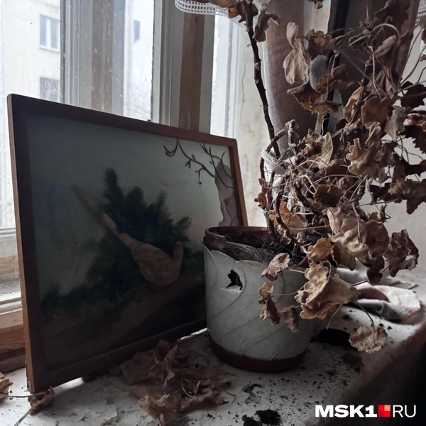 Источник: Алина Мельникова / MSK1.RU