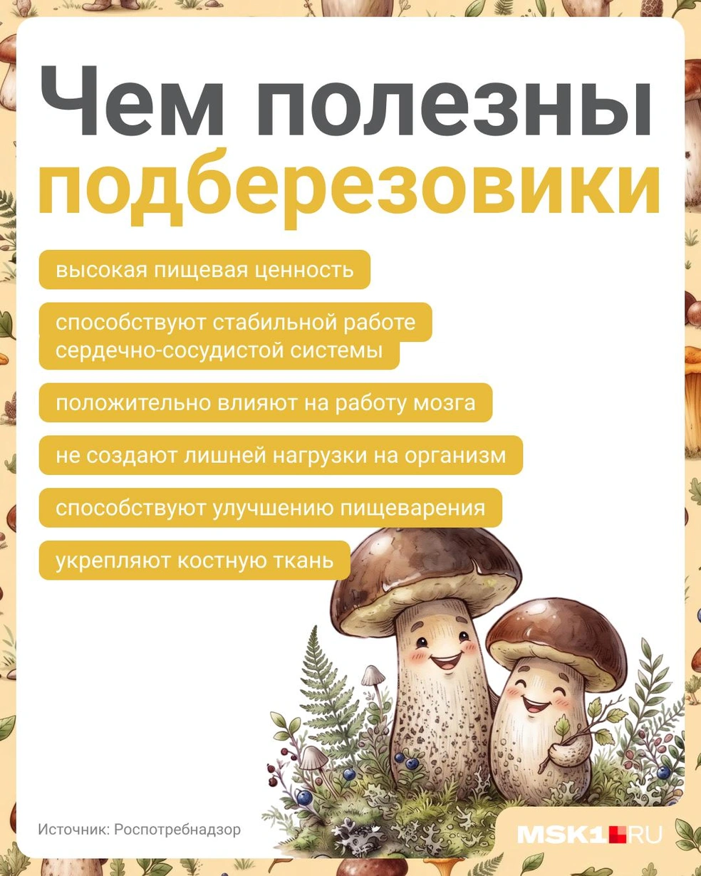 Минимум шесть причин приготовить блюдо с подберезовиками | Источник: Полина Авдошина / Городские медиа