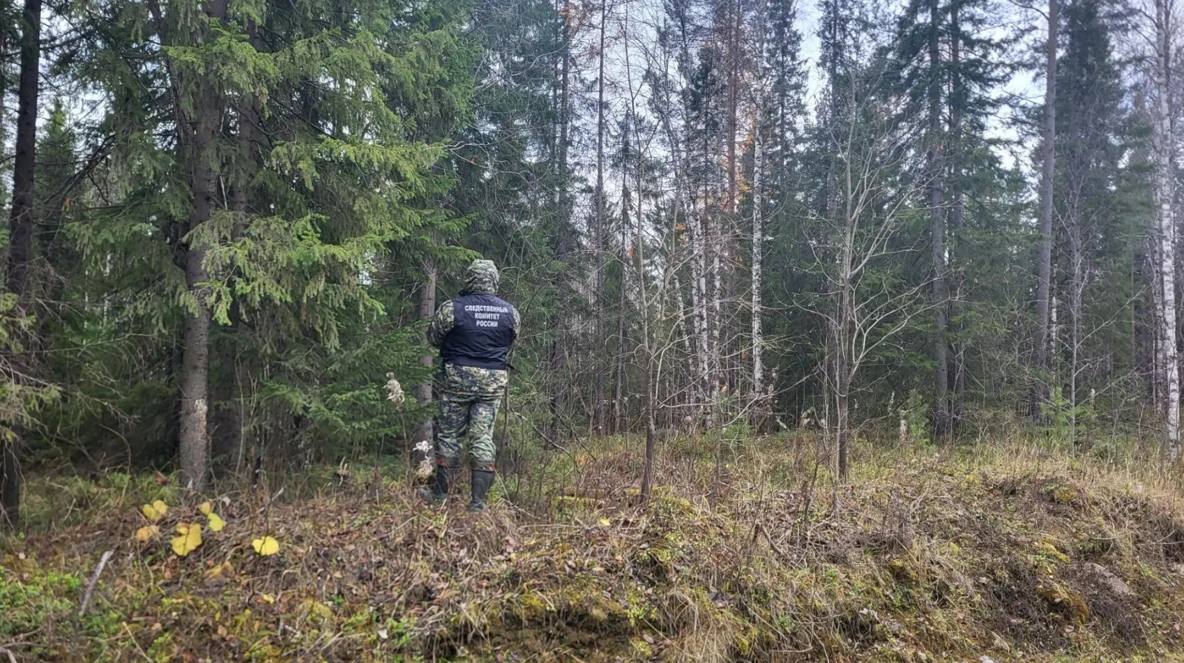 В Архангельской области медведь убил охотника