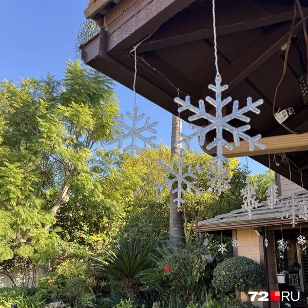 Источник: Читатель 72.RU