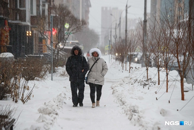 Главное&nbsp;— надеть капюшон! | Источник: Андрей Бортко / NGS.RU