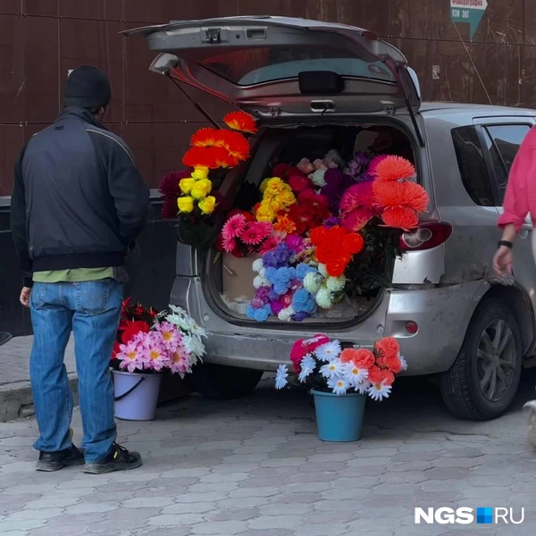 Источник: Павел Пешков / NGS.RU