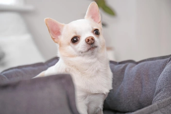 Источник: Pixel-Shot via Shutterstock/Fotodom.ru