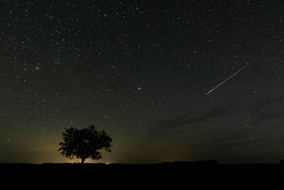 Геминиды: пик звездопада над Ставропольем