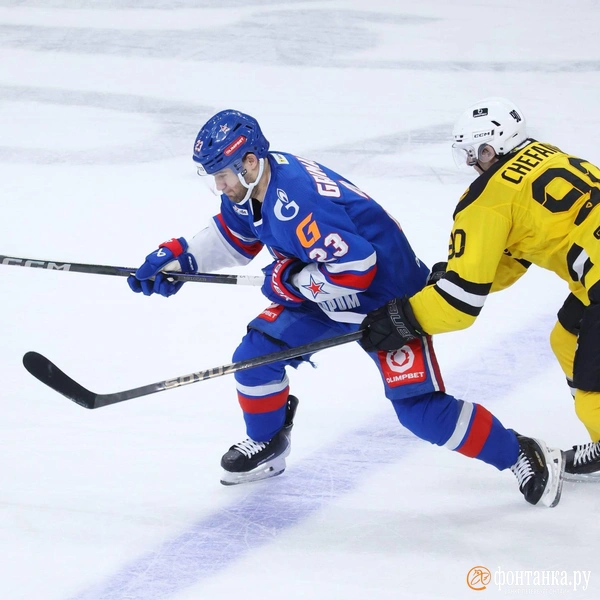 Источник: Сергей Михайличенко / FONTANKA.RU