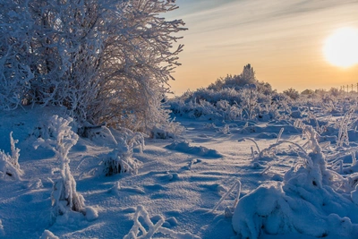 Поиски туристов на Кваркуше: «ЛизаАлерт» о ходе работ