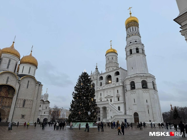 Главная елка России в центре Кремля | Источник: Артем Устюжанин / MSK1.RU