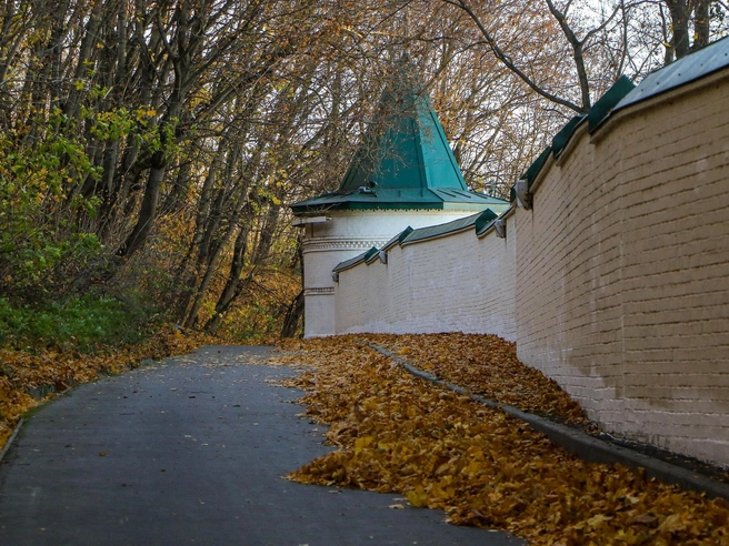 Синоптики дали прогноз на ноябрь в Нижнем Новгороде | Источник: Наталья Бурухина / NN.RU