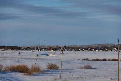 В Козихе изымают скот на последнем пораженном пастереллезом хозяйстве