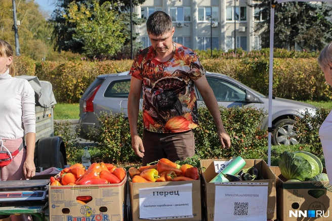 Осеннего урожая хватит всем | Источник: Наталья Бурухина / NN.RU