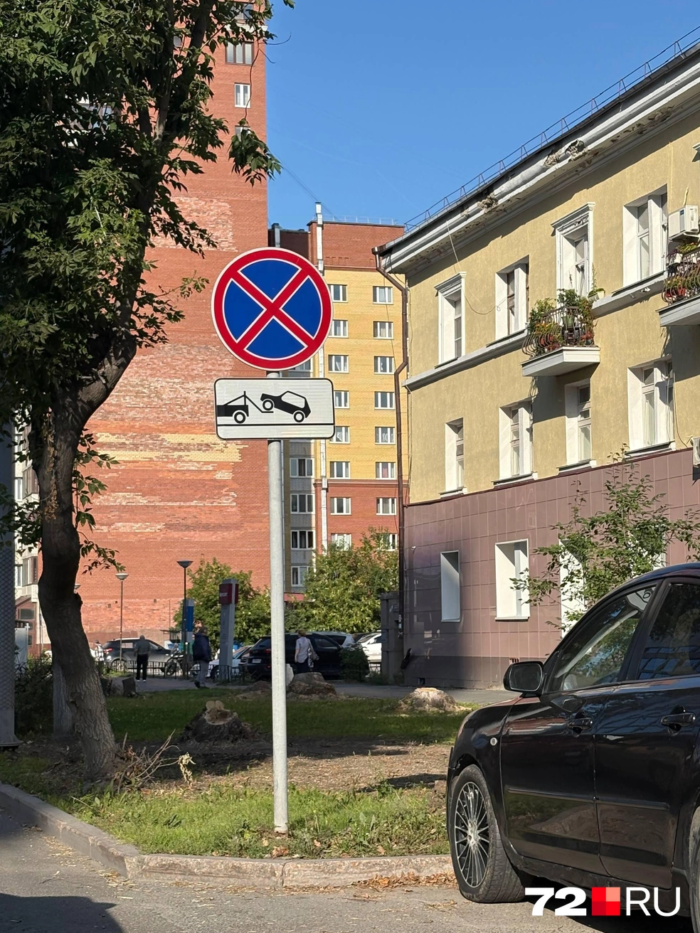 Рядом с вырубленными деревьями остались другие зеленые насаждения  | Источник: читатель 72.RU 