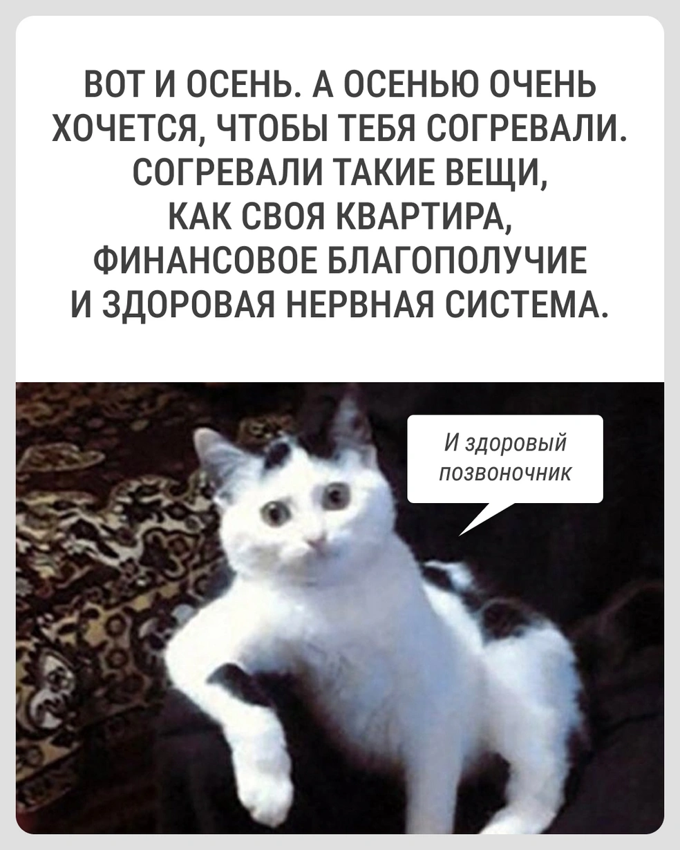 Это основы  | Источник: Городские медиа