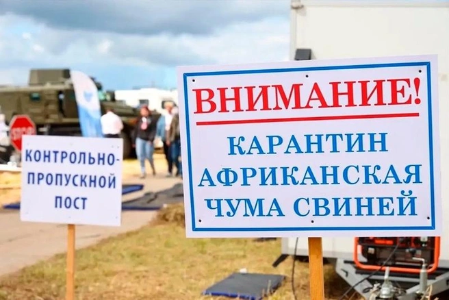 Источник: st.cherinfo.ru