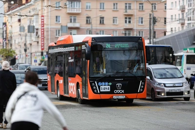 Transport department addresses Omsk's new bus purchases