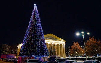 Какой город стал новогодней столицей России 2025/2026?
