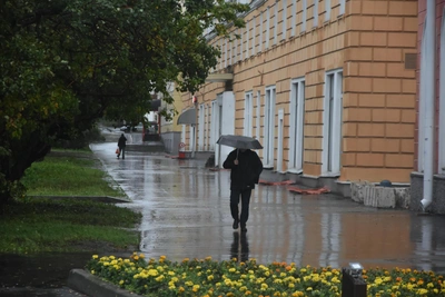 Мурманскую область накроют дожди и мокрый снег: погода на пятницу