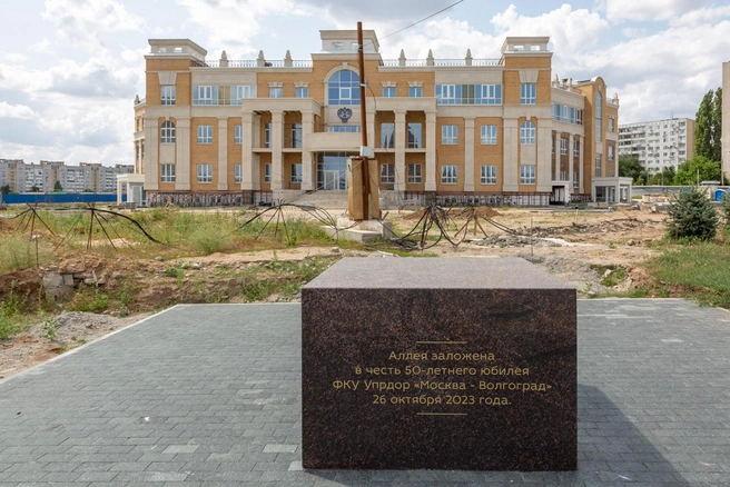 Кроме нескольких маленьких елей и травы, другой растительности не видно | Источник: Константин Завриков / V1.RU