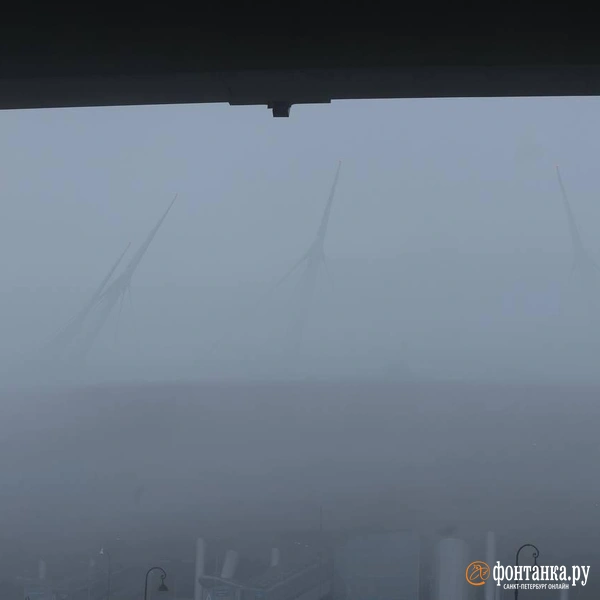 Источник: Дарья Драй/«Фонтанка.ру»