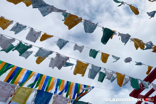 Источник: Елена Буйвол / VLADIVOSTOK1.RU