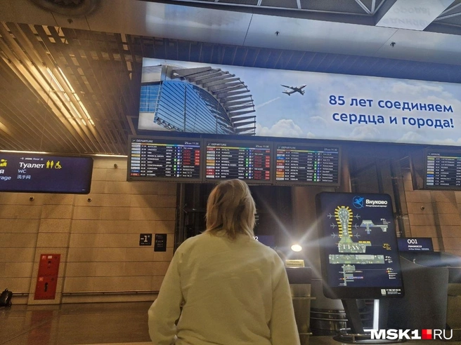 Задержки наблюдаются во Внуково | Источник: Софья Рябикина / MSK1.RU