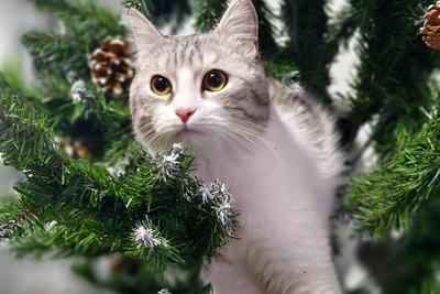 Итоги конкурса на лучшую офисную елку в Екатеринбурге