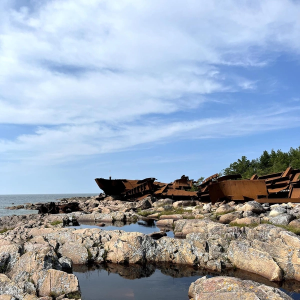 Источник: Нижне-Свирский государственный заповедник