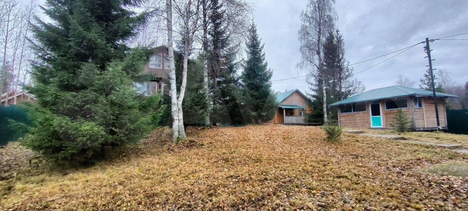 Источник: Авито / Avito.ru