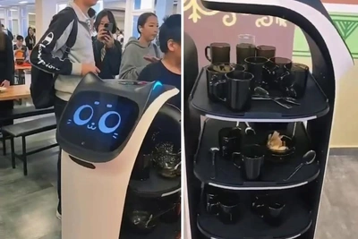 First Robot Waiter Serves Students at Yakutsk School