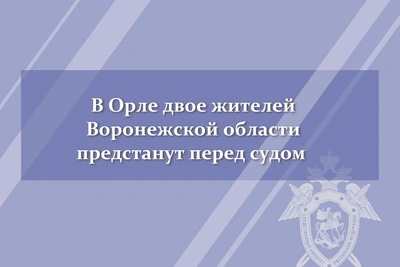 Воронежцы обвиняются в покушении на мошенничество