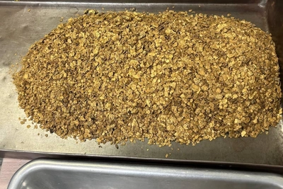 Четверых задержали за незаконную добычу золота в Якутии