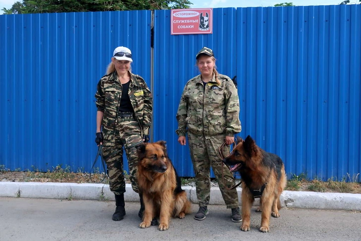 Не вставал с кровати и не разговаривал: собаки вытащили ребенка из тяжелой депрессии