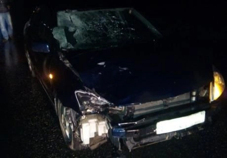 В Рязанском районе Mitsubishi насмерть сбил пешехода | ya62.ru