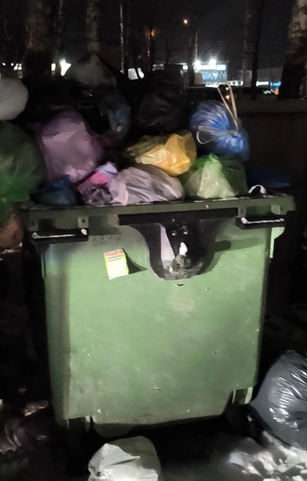 Переполненный контейнер у Гусинобродского шоссе | Источник: читатель НГС