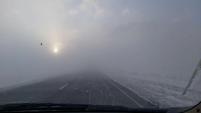 Снежная буря | Источник: из личного архива М. Вавиловой