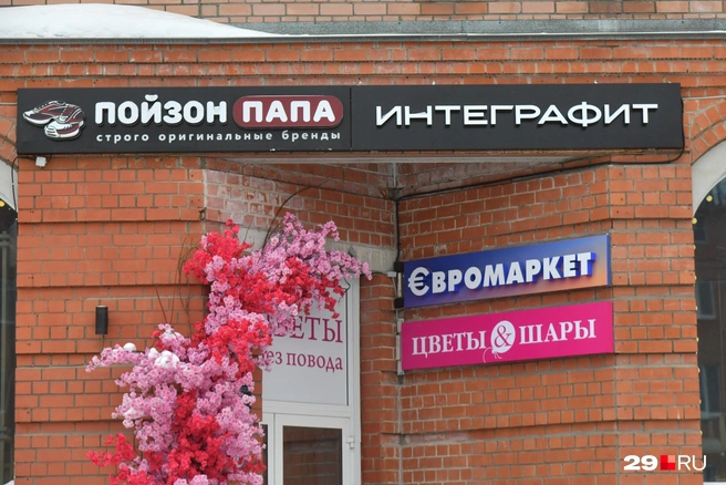 Источник: Иван Митюшёв / 29.RU