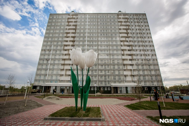 Комплекс на улице Забалуева из однотипных высотой от 17 до 18 этажей | Источник: Александр Ощепков / NGS.RU