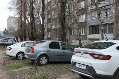 Воронежский мэр предупредил о штрафах за парковку на газонах