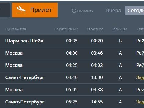 В аэропорту Челябинска ожидали рейсы в 4:40 и 5:25 утра.