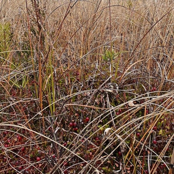 Источник: Павел Глазков / «Каждой твари по паре»
