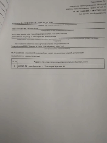 Истёкший патент на деятельность по уходу за престарелыми и инвалидами | Источник: Сайт пансионата