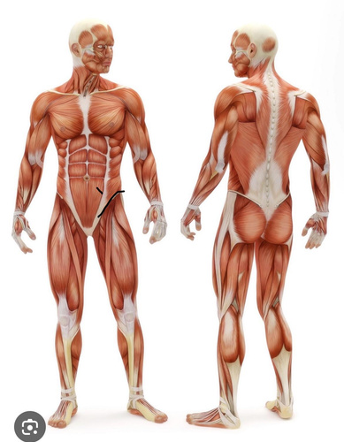 Изображение пользователя