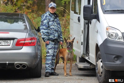 Кузбасский ГУФСИН заманивает кадры льготами