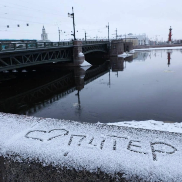 Источник: Сергей Михайличенко/«Фонтанка.ру»