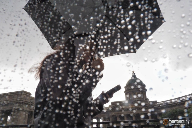 Петербург в тылу циклона. Москве он же принёс первый снег | Источник: Михаил Огнев / «Фонтанка.ру»