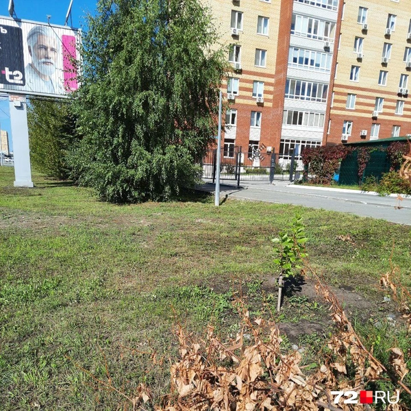 Источник: Читательница 72.RU