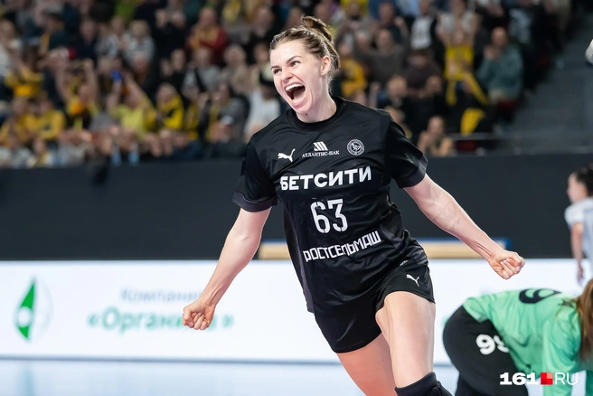 Источник: Евгений Вдовин / 161.RU