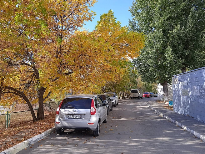 Синоптики обещают ульяновцам теплые выходные | Источник: Дмитрий Сильнов / 173. RU